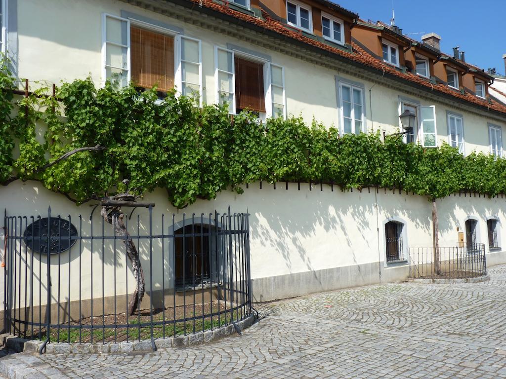 Guest House Pikapolonca Maribor Ngoại thất bức ảnh
